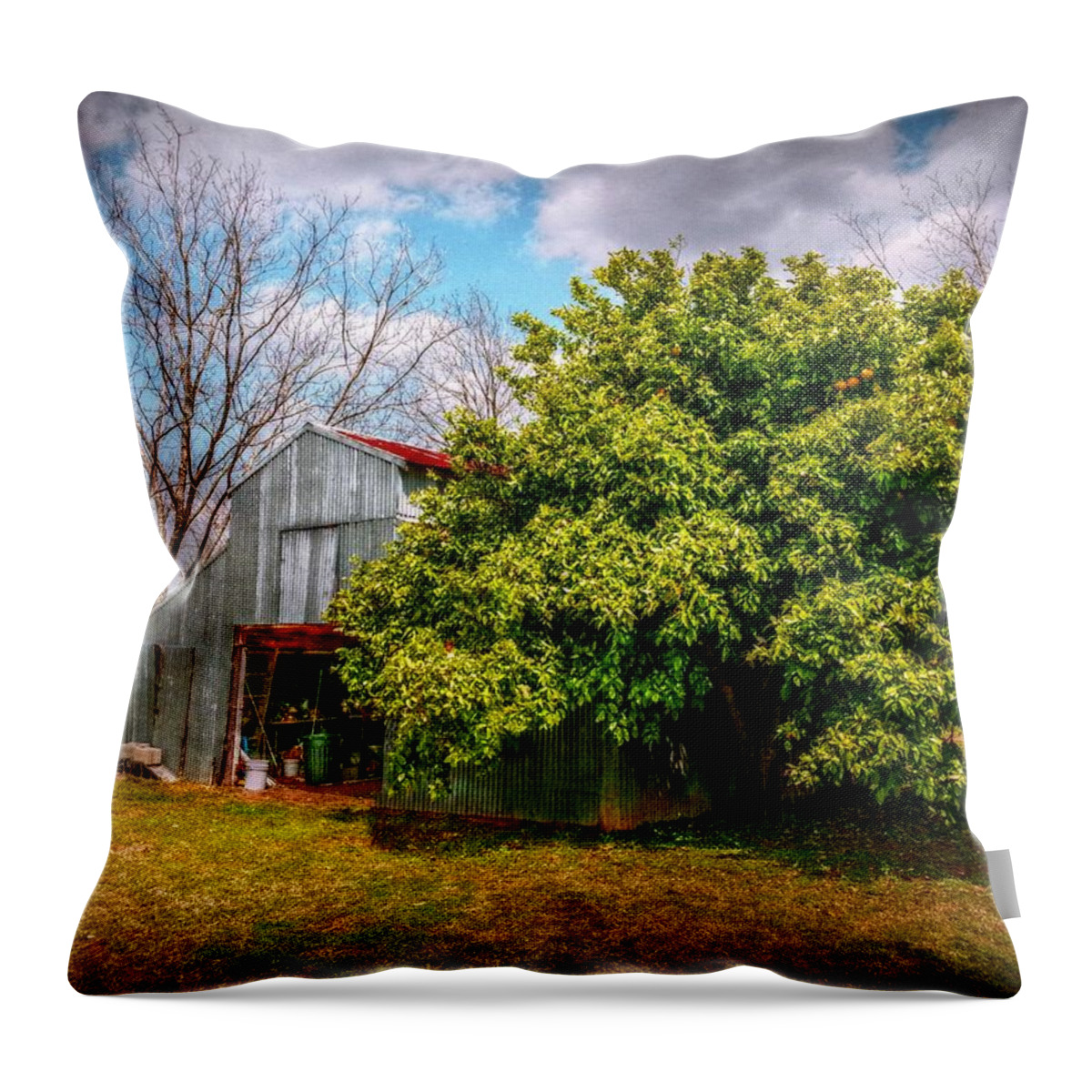 Grapefruit Trees Throw Pillow featuring the digital art The Miracle Tree by Linda Unger