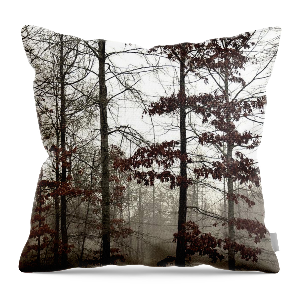 The Mist Throw Pillow featuring the photograph The Mist by Maria Urso