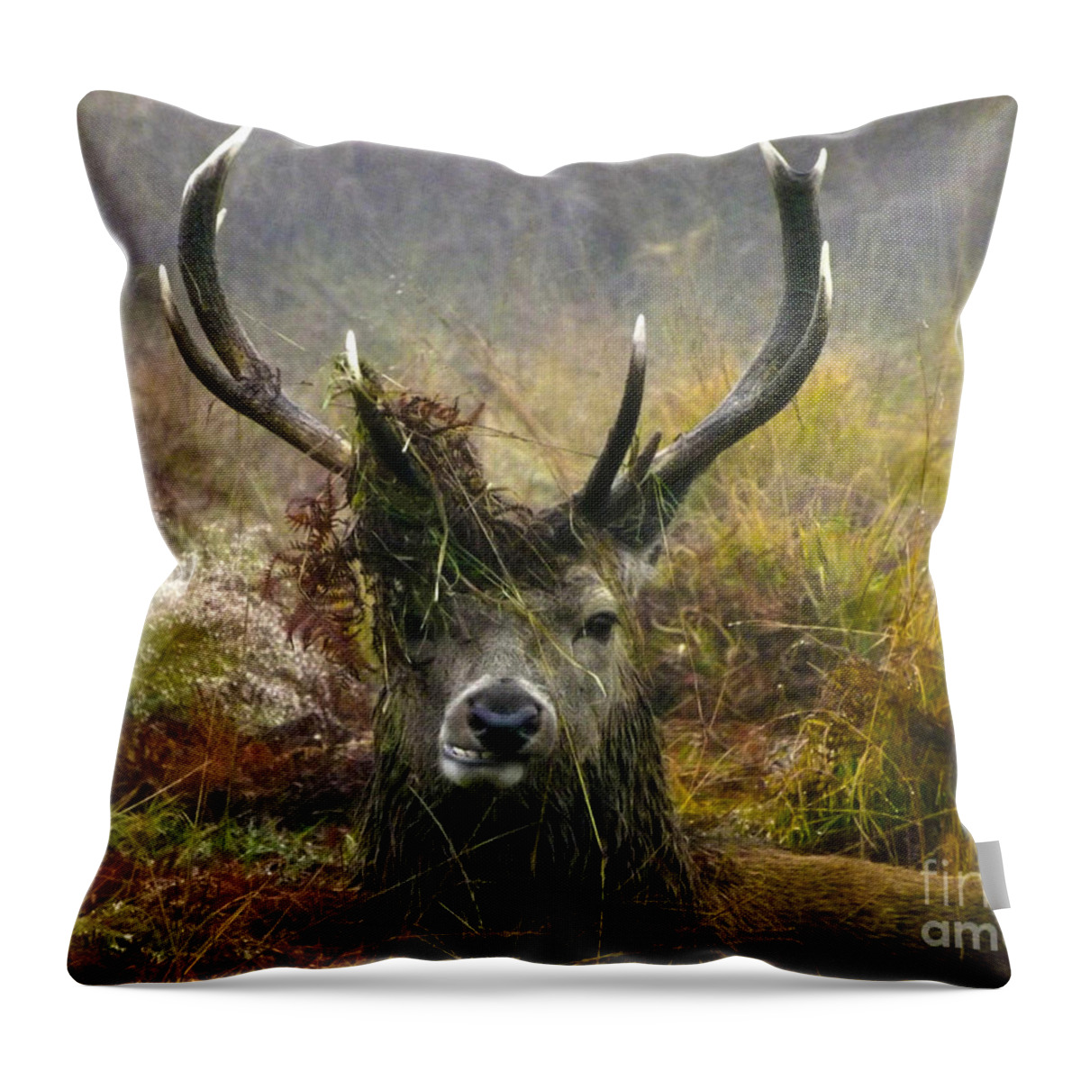 Deer Throw Pillow featuring the photograph Stag Party The Series The Morning After by Linsey Williams