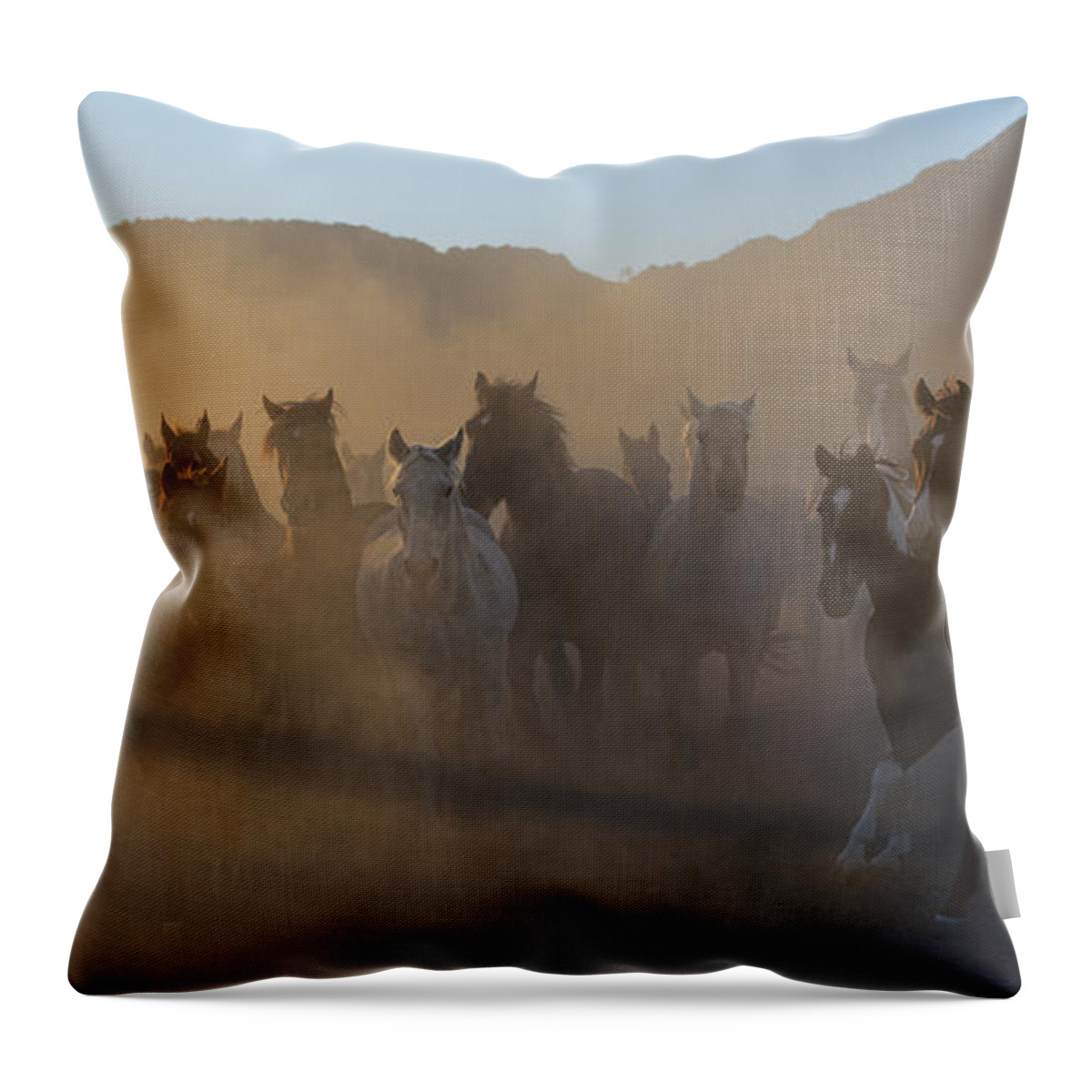 Horses Throw Pillow featuring the photograph The Morning Run by Sandra Bronstein