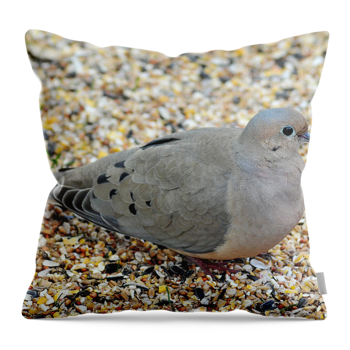 Mourning Dove Throw Pillow featuring the photograph The Motherlode by Gene Tatroe