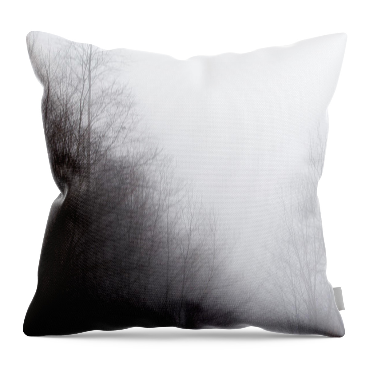Mist Throw Pillow featuring the photograph The Myst by Tyler Marks