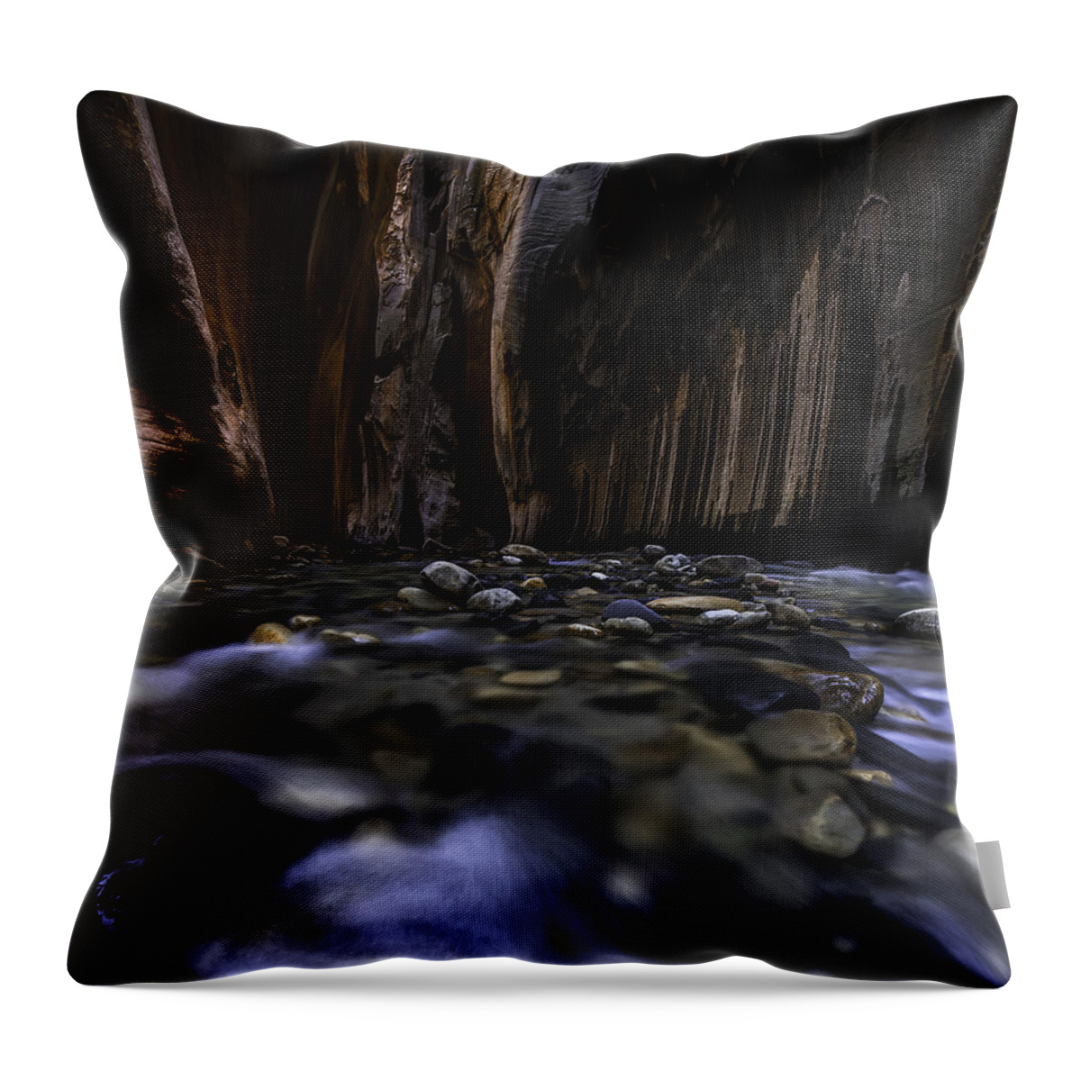 Zion Throw Pillow featuring the photograph The Narrows at Zion National Park - 2 by Larry Marshall