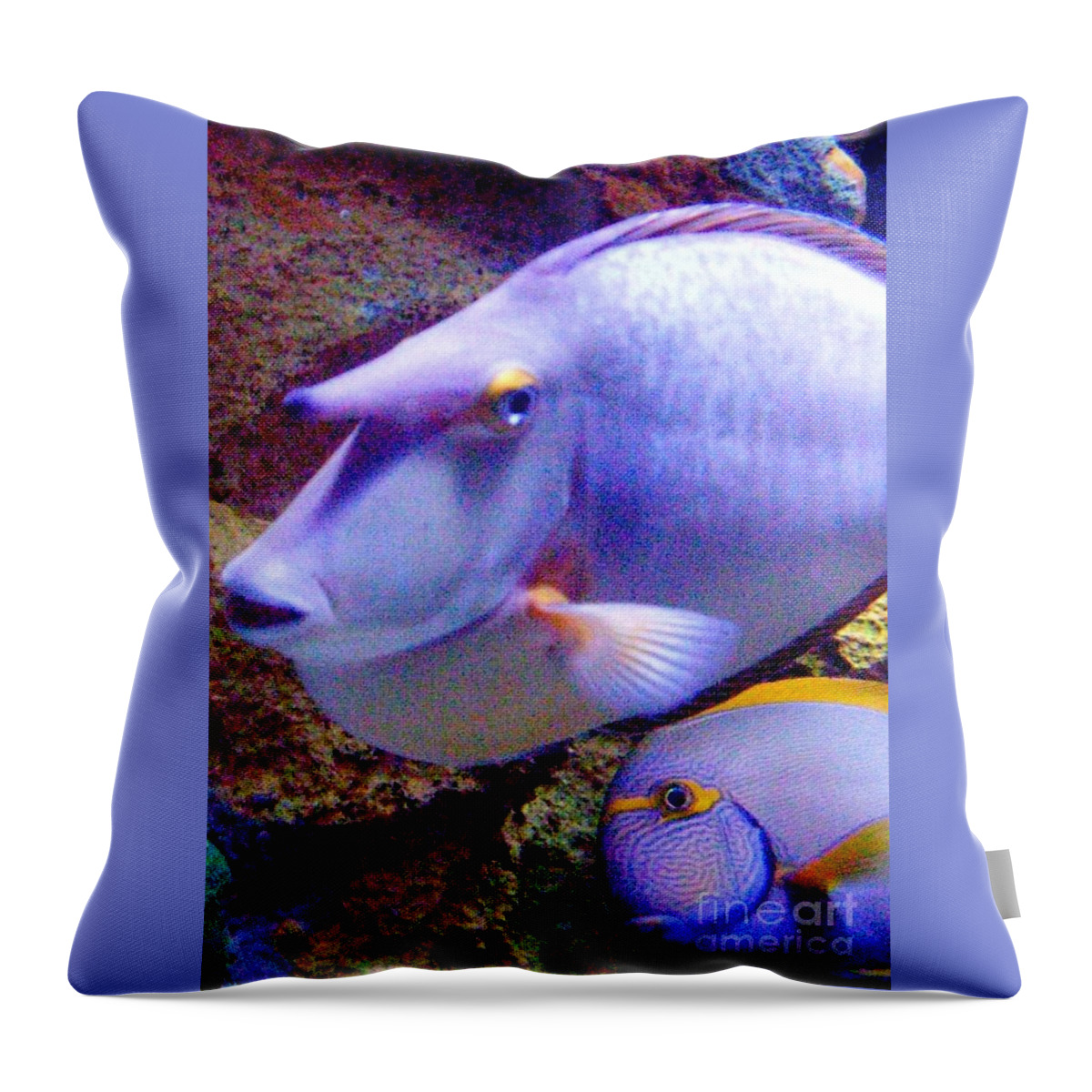 Fish Throw Pillow featuring the photograph The Odd Couple of the Aquarium by Barbie Corbett-Newmin