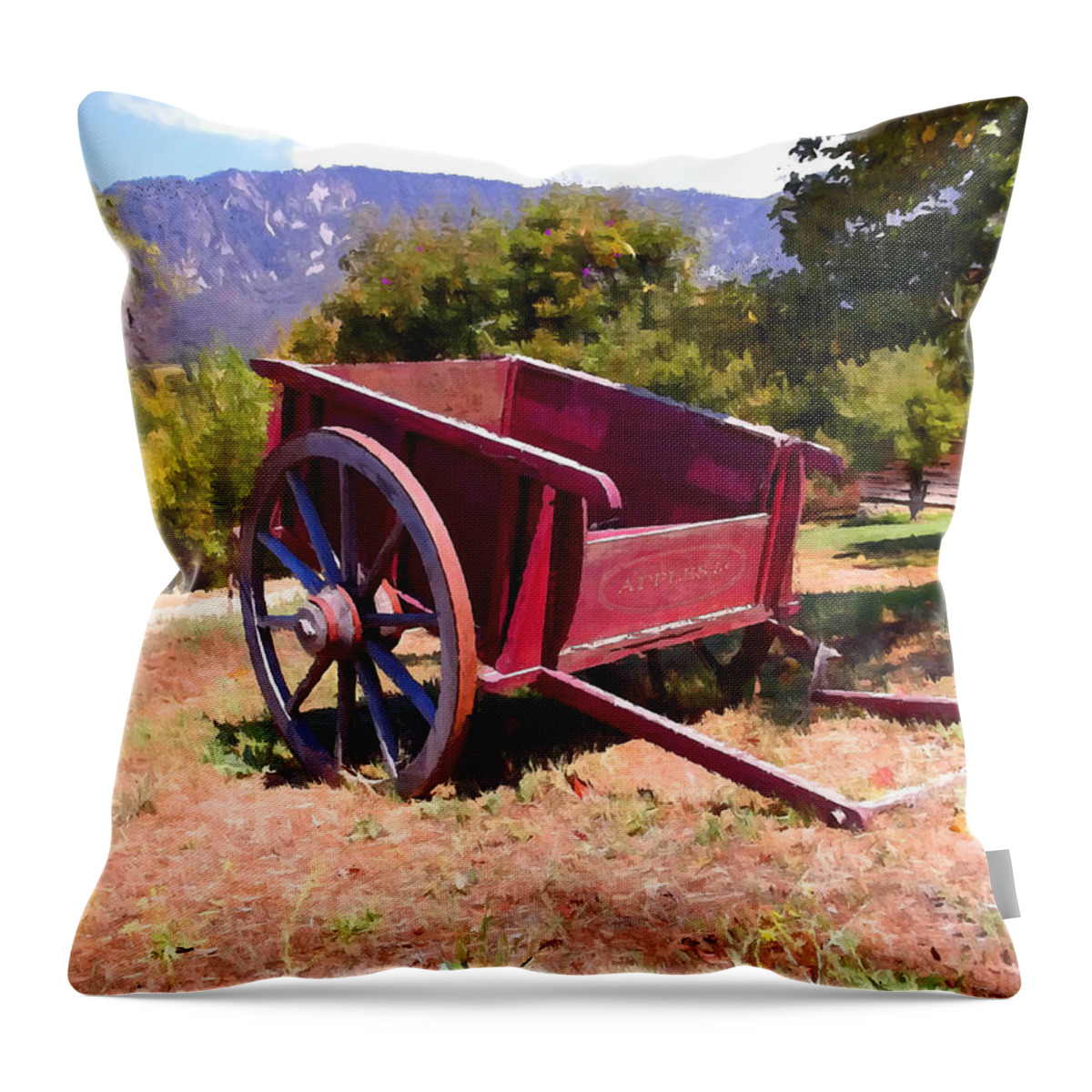 The Old Apple Cart Throw Pillow featuring the photograph The Old Apple Cart by Glenn McCarthy Art and Photography