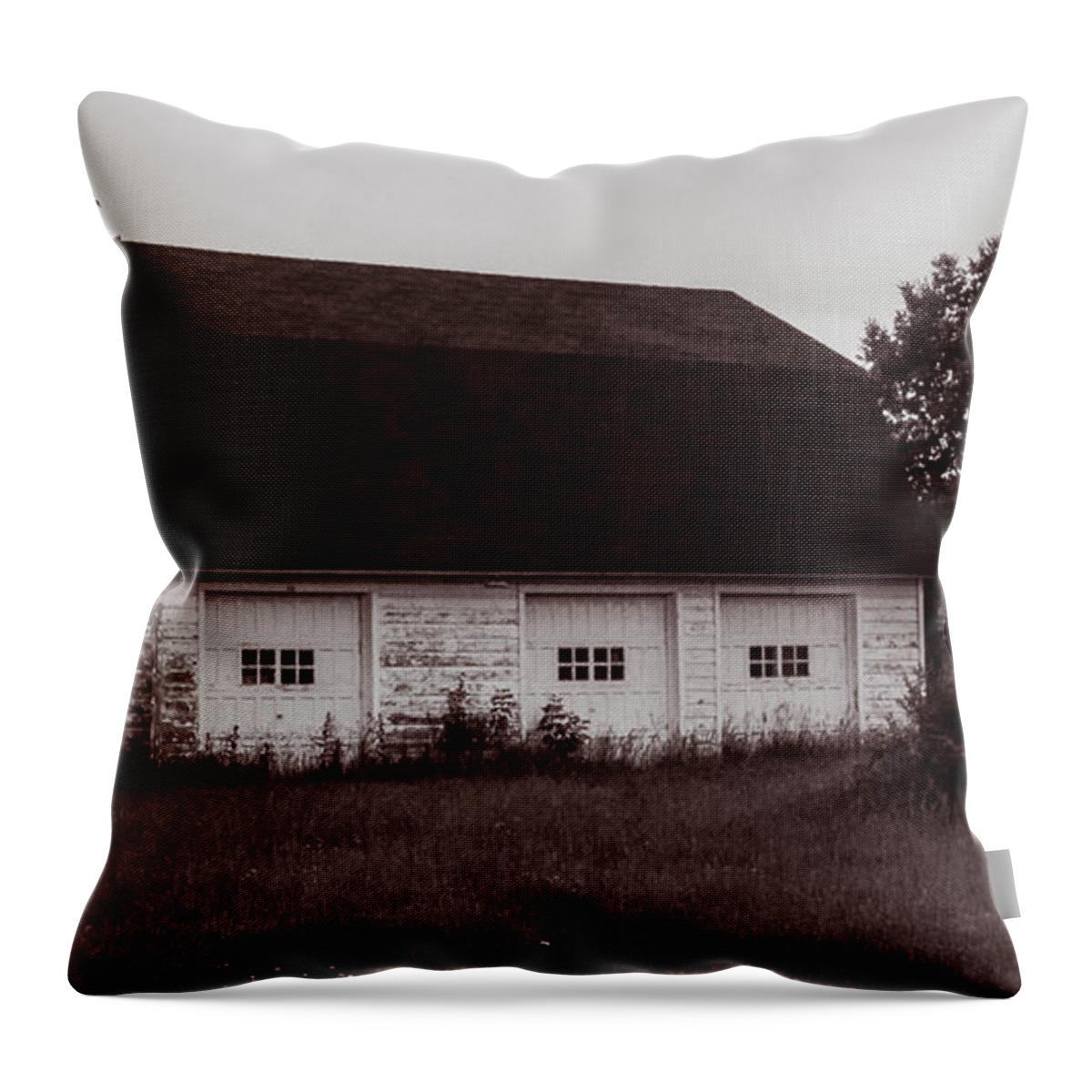 Barn Throw Pillow featuring the photograph The Old Barn by Grace Grogan