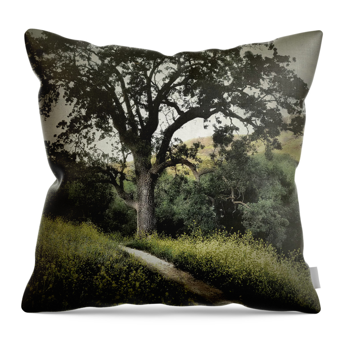 California Throw Pillow featuring the photograph The Old Chumash Trail by Parrish Todd