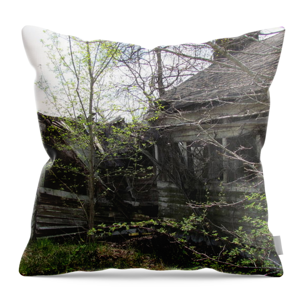 Photography Throw Pillow featuring the photograph The Old Farm House by Shea Holliman