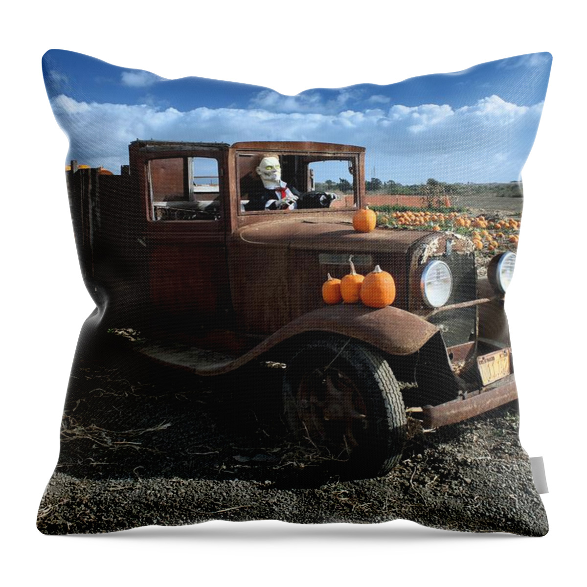 Antique Throw Pillow featuring the photograph The Old Pumpkin Patch by Michael Gordon