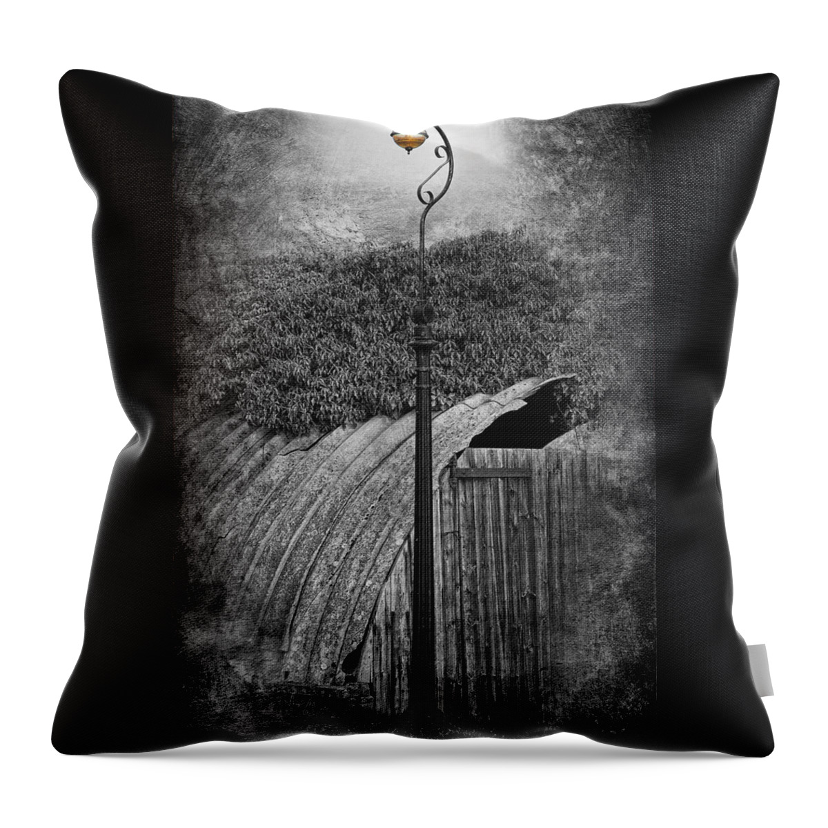 Lamp Post Photographs Throw Pillow featuring the photograph The Old Standard by David Davies