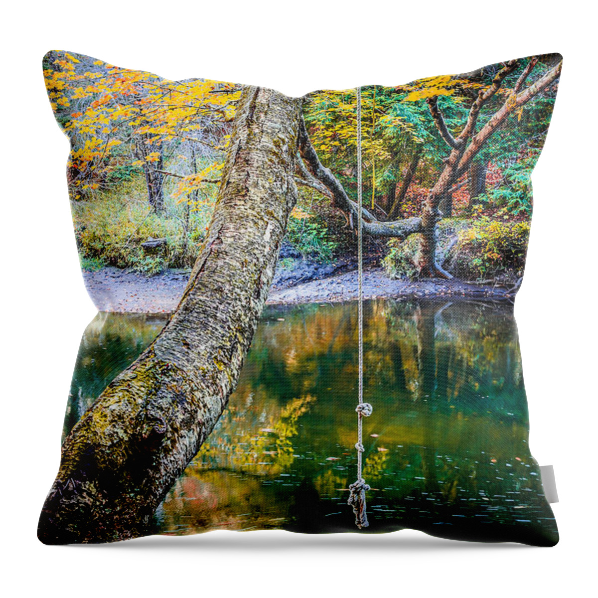 Swimming Throw Pillow featuring the photograph The Old Swimming Hole by Edward Fielding