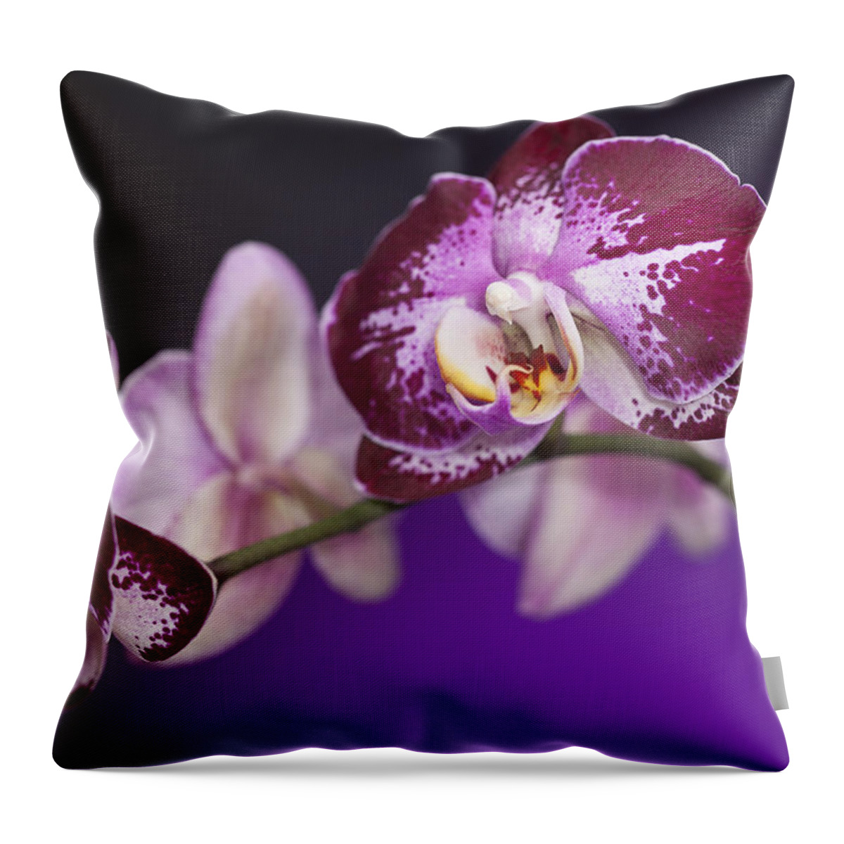 Natural Throw Pillow featuring the photograph The Orchid Watches by Jon Glaser