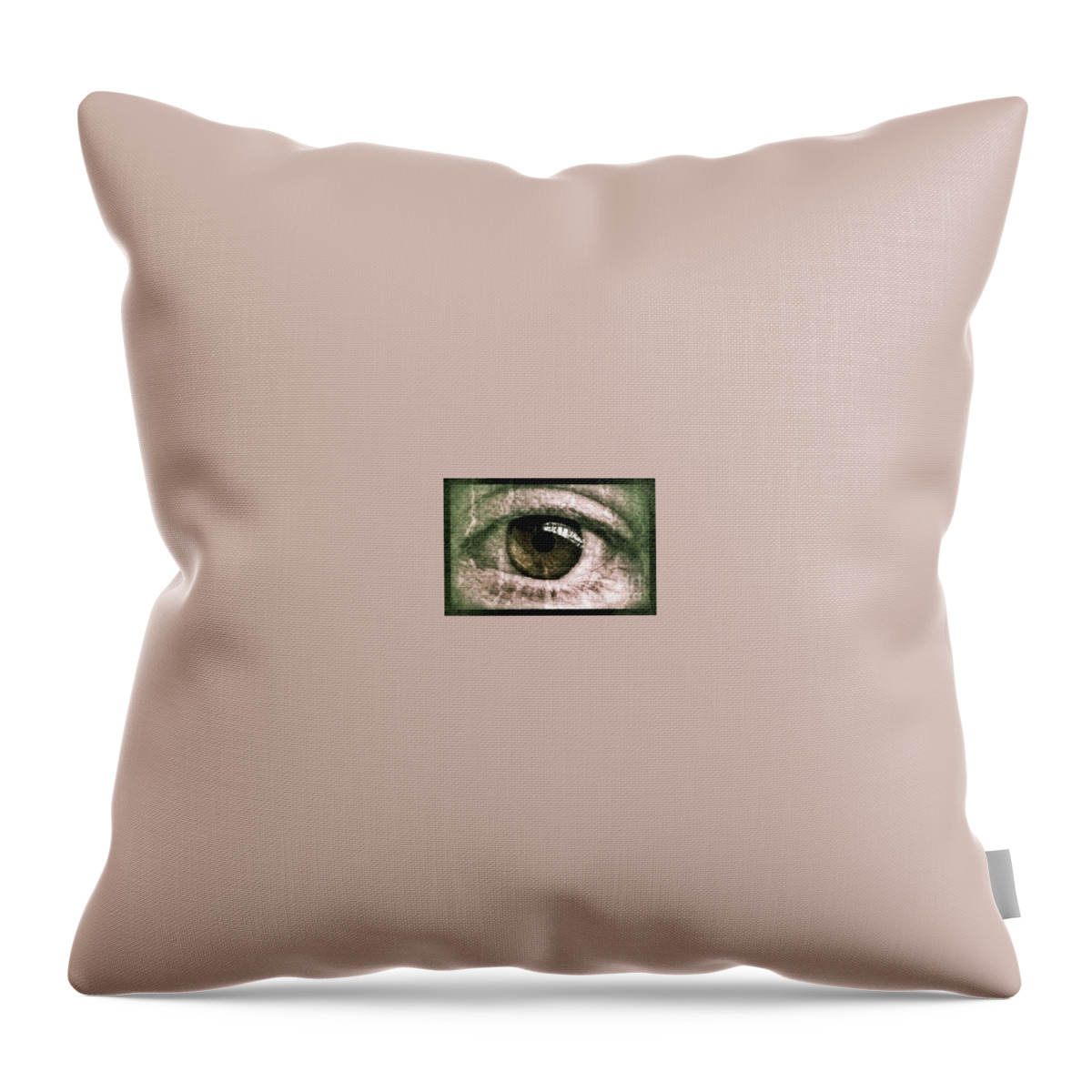 Painting Throw Pillow featuring the painting The painted Glass Eye by Vix Edwards