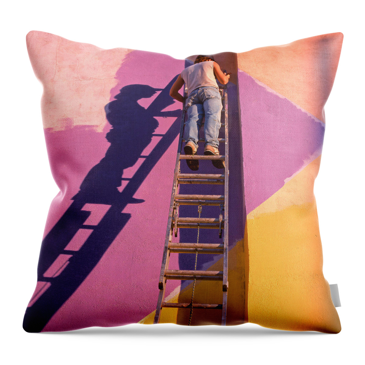 Painter Throw Pillow featuring the photograph The Painter by Don Spenner