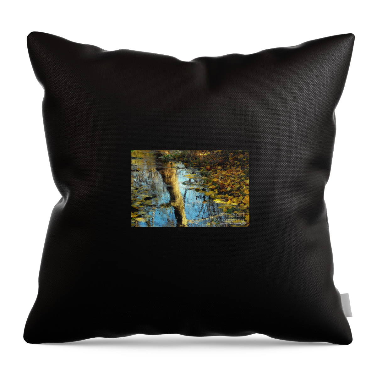 Autumn Throw Pillow featuring the photograph The Painter's Dream by Tami Quigley