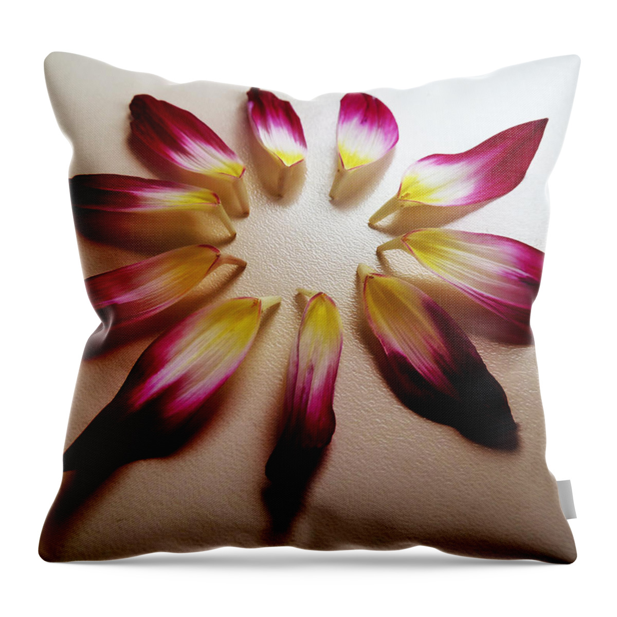 Petals Throw Pillow featuring the photograph The Petal Cake by Steve Taylor