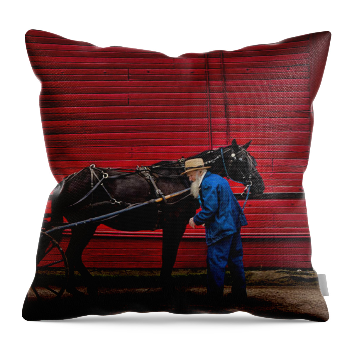 Evie Throw Pillow featuring the photograph The Plain People by Evie Carrier