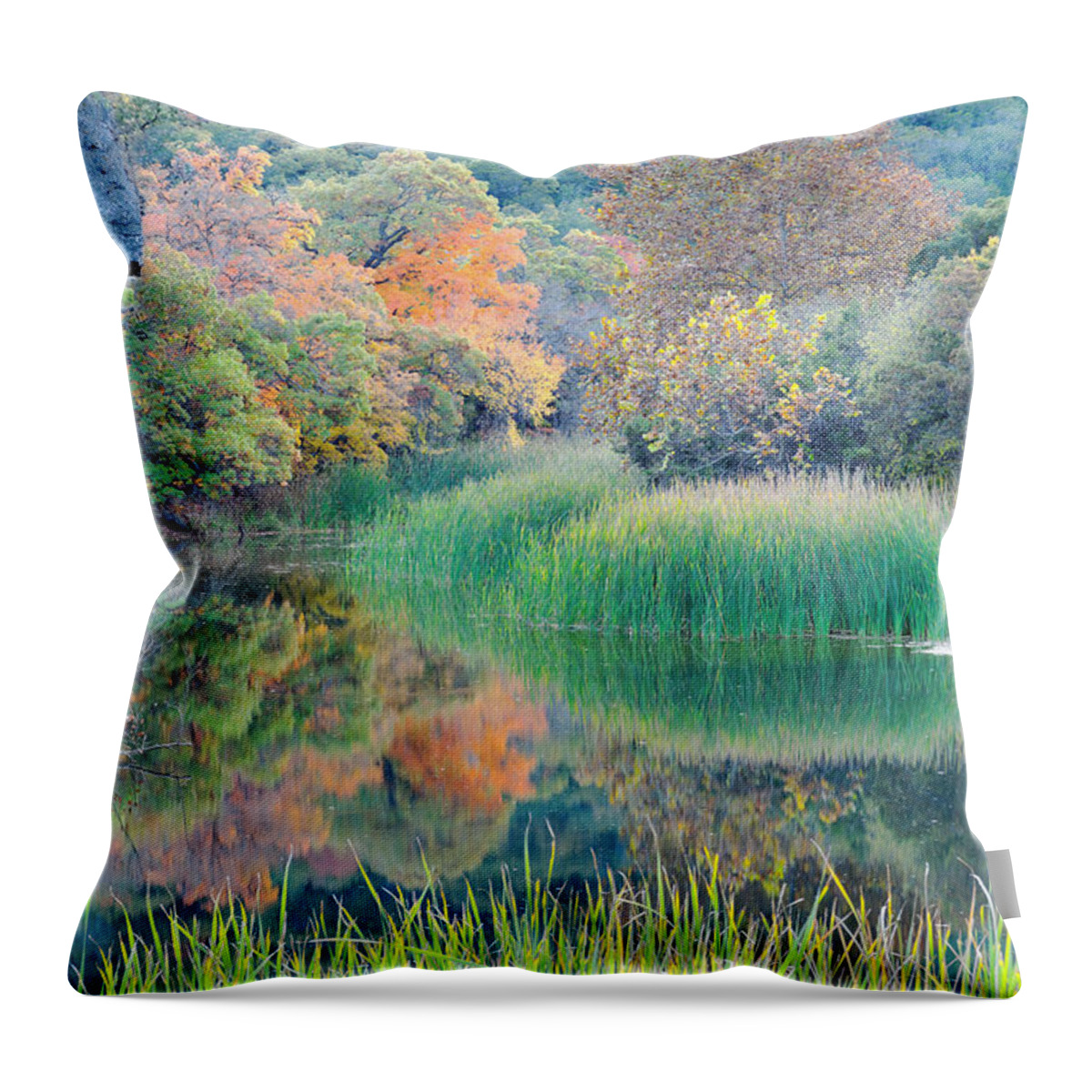 Lost Maples Throw Pillow featuring the photograph The Pond at Lost Maples State Natural Area - Texas Hill Country by Silvio Ligutti