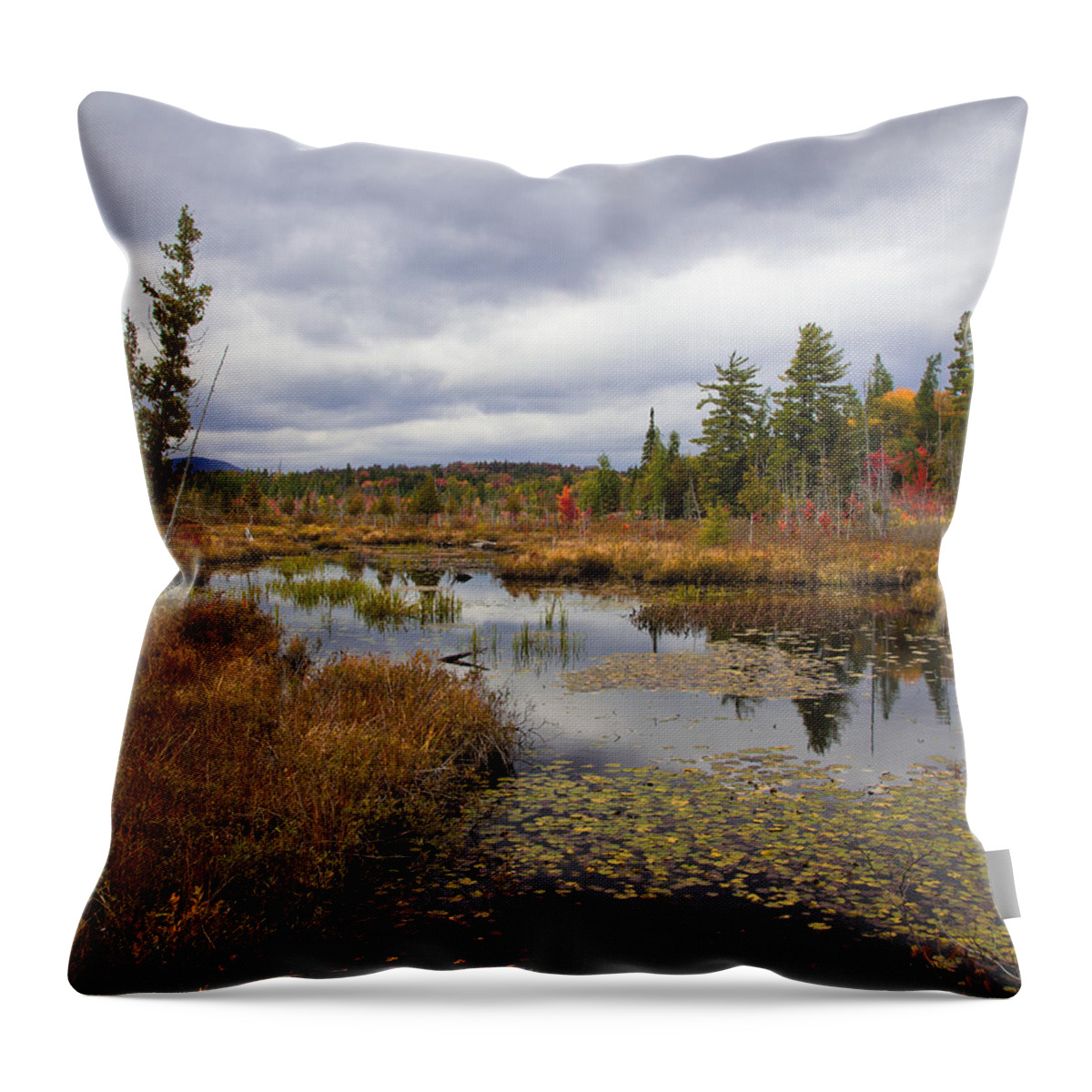 The Ponds Near Raquette Lake Throw Pillow featuring the photograph The Ponds near Raquette Lake by David Patterson