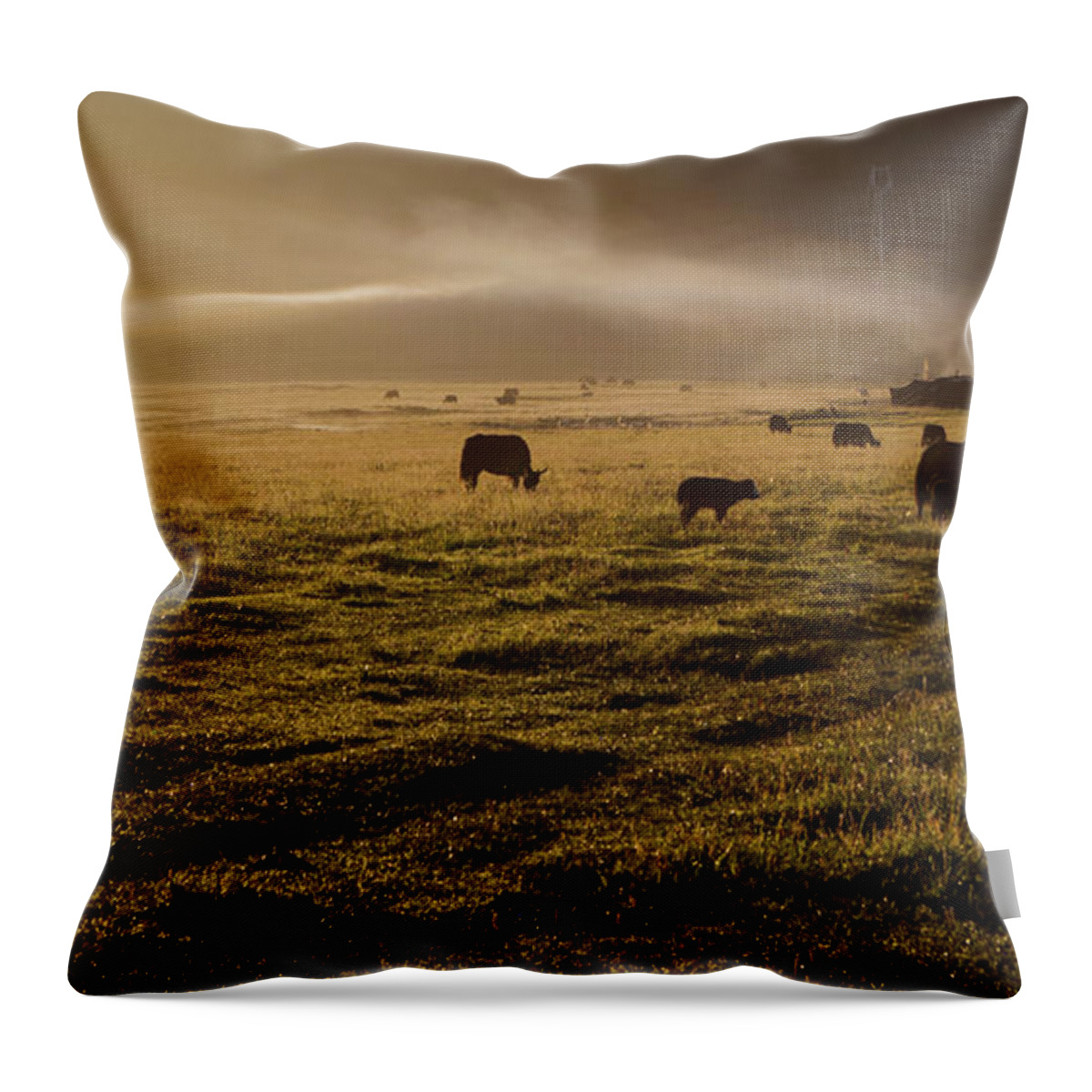 Dawn Throw Pillow featuring the photograph The Pride Of The Morning by Zhouyousifang