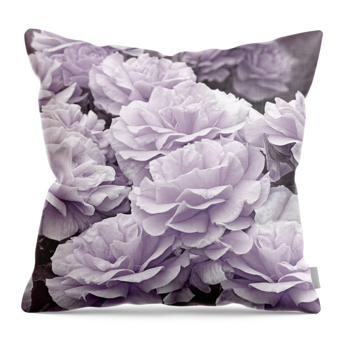 Rose Throw Pillow featuring the photograph The Queen's Lavender Rose Garden by Jennie Marie Schell