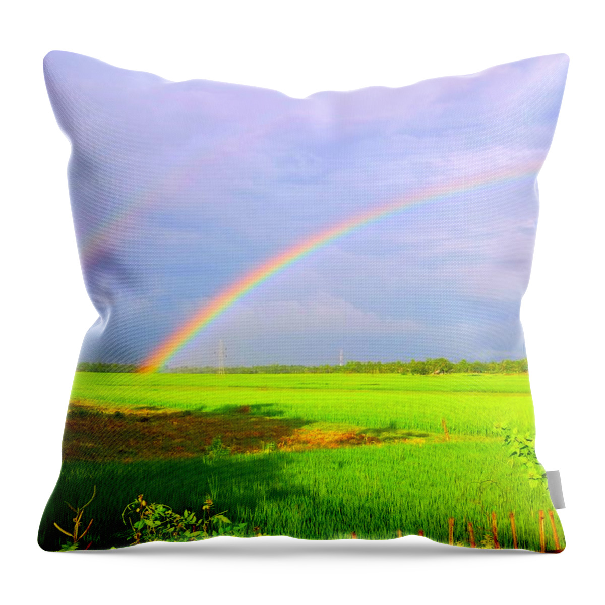 Tranquility Throw Pillow featuring the photograph The Rainbow by Sanhita Bhattacharjee