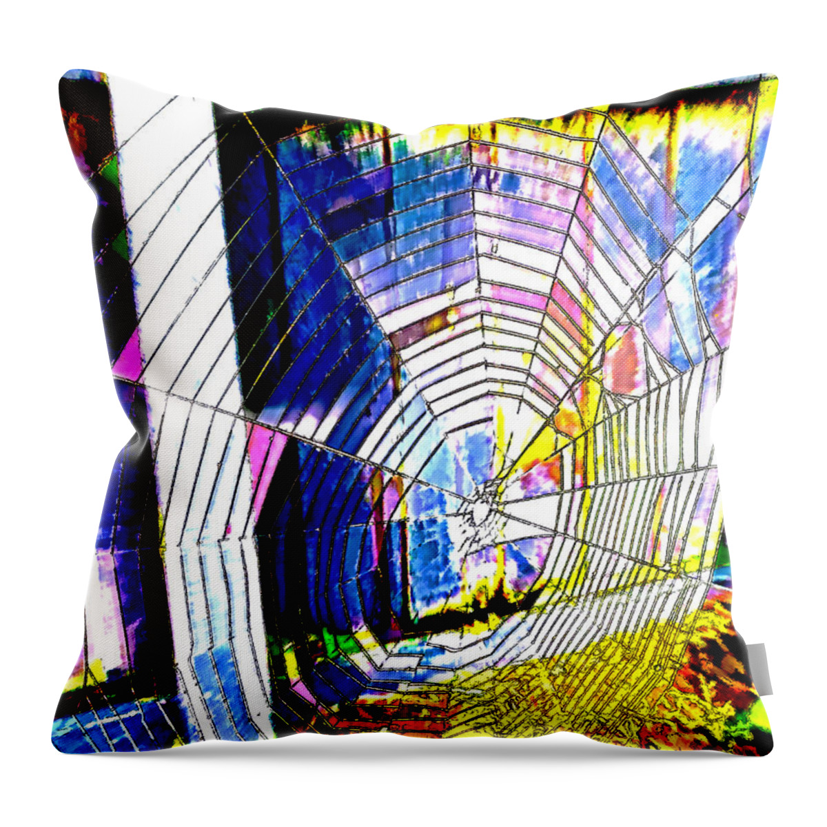 Web Throw Pillow featuring the digital art The Refracted Cobweb by Steve Taylor