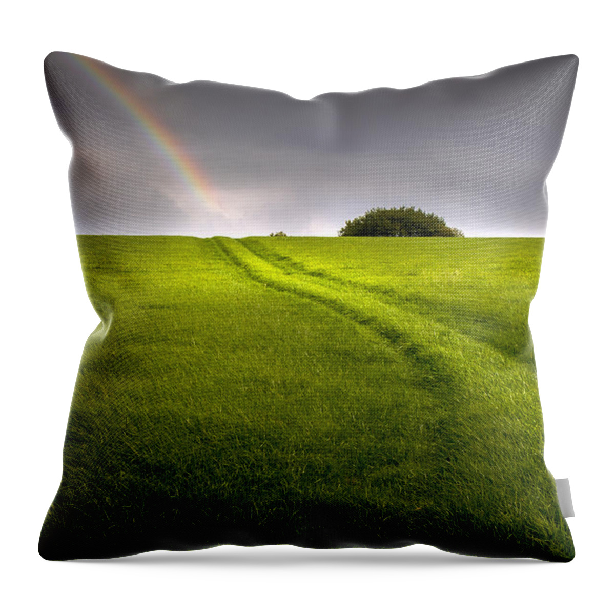Rainbow Throw Pillow featuring the photograph The Right Way by Mal Bray