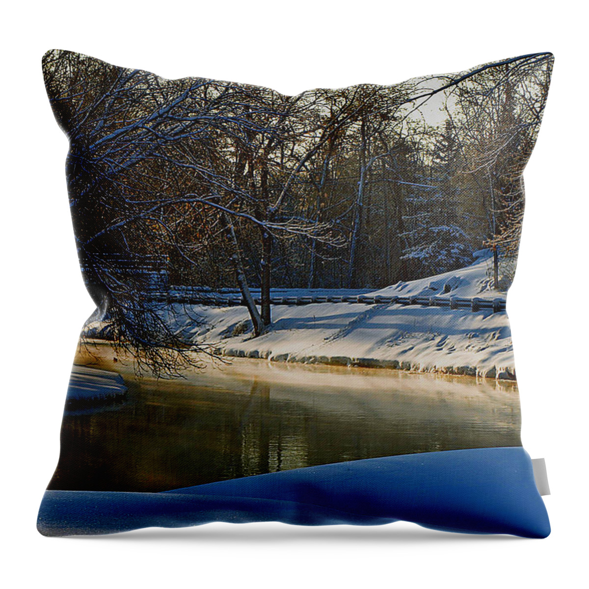 River Throw Pillow featuring the photograph The River Bend by Thomas Young