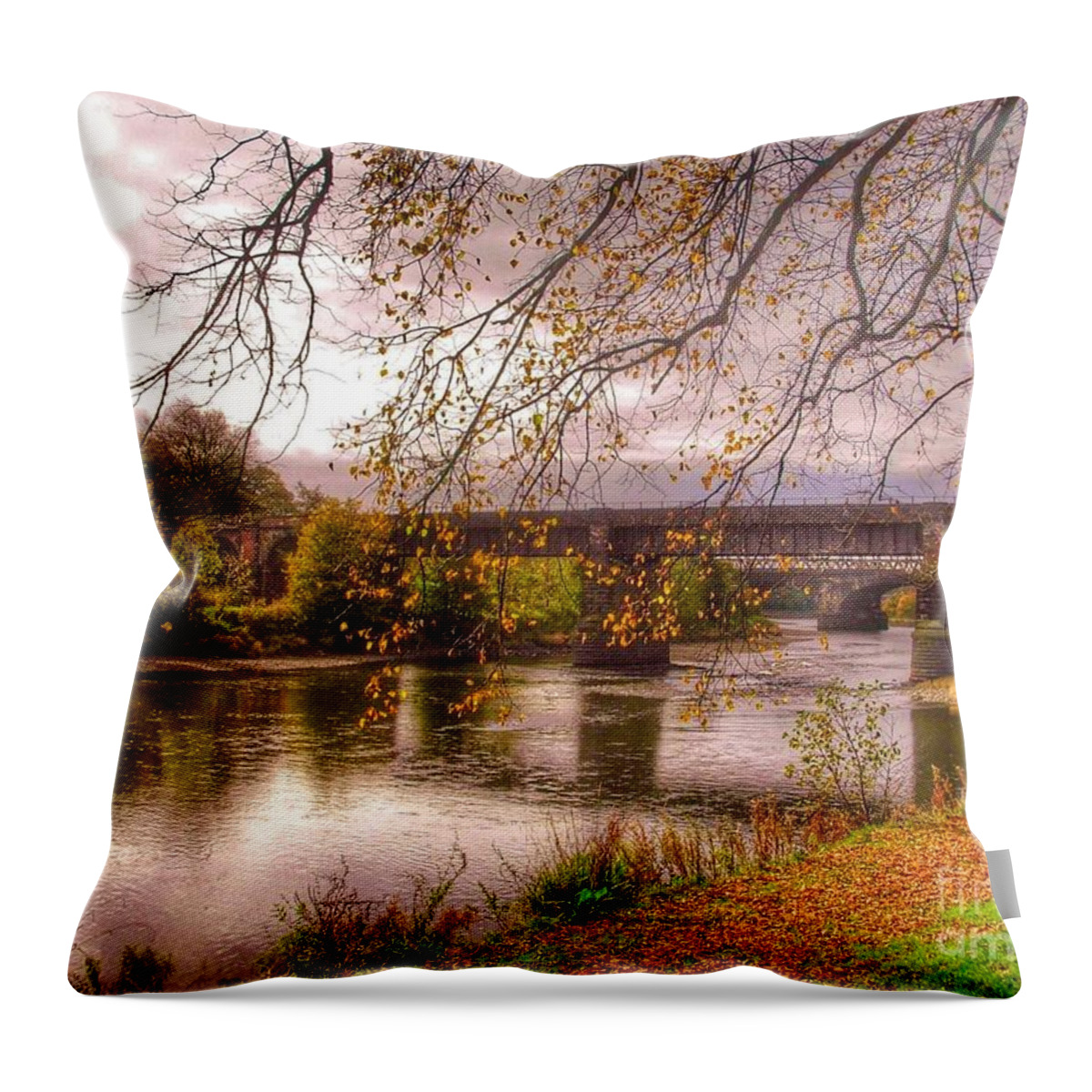 The Riverside Throw Pillow featuring the photograph The Riverside at Avenham Park by Joan-Violet Stretch