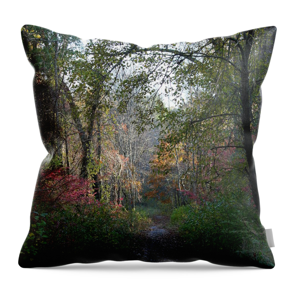Autumn Throw Pillow featuring the photograph The Road Ahead No.2 by Neal Eslinger