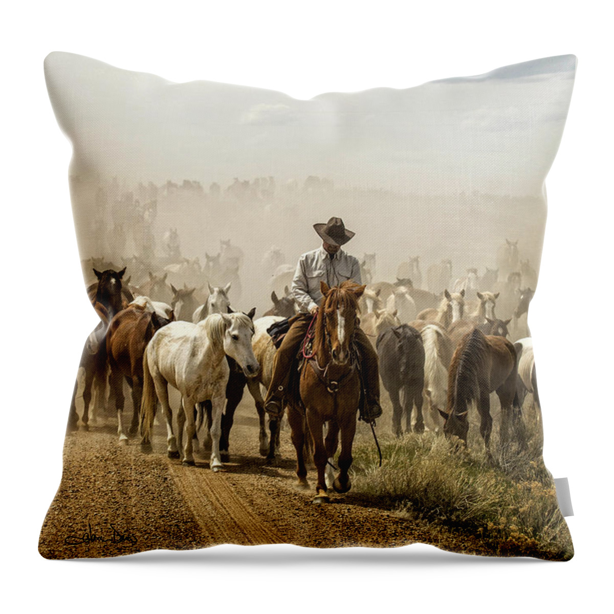 Flatlandsfoto Throw Pillow featuring the photograph The Road Home 2013 by Joan Davis
