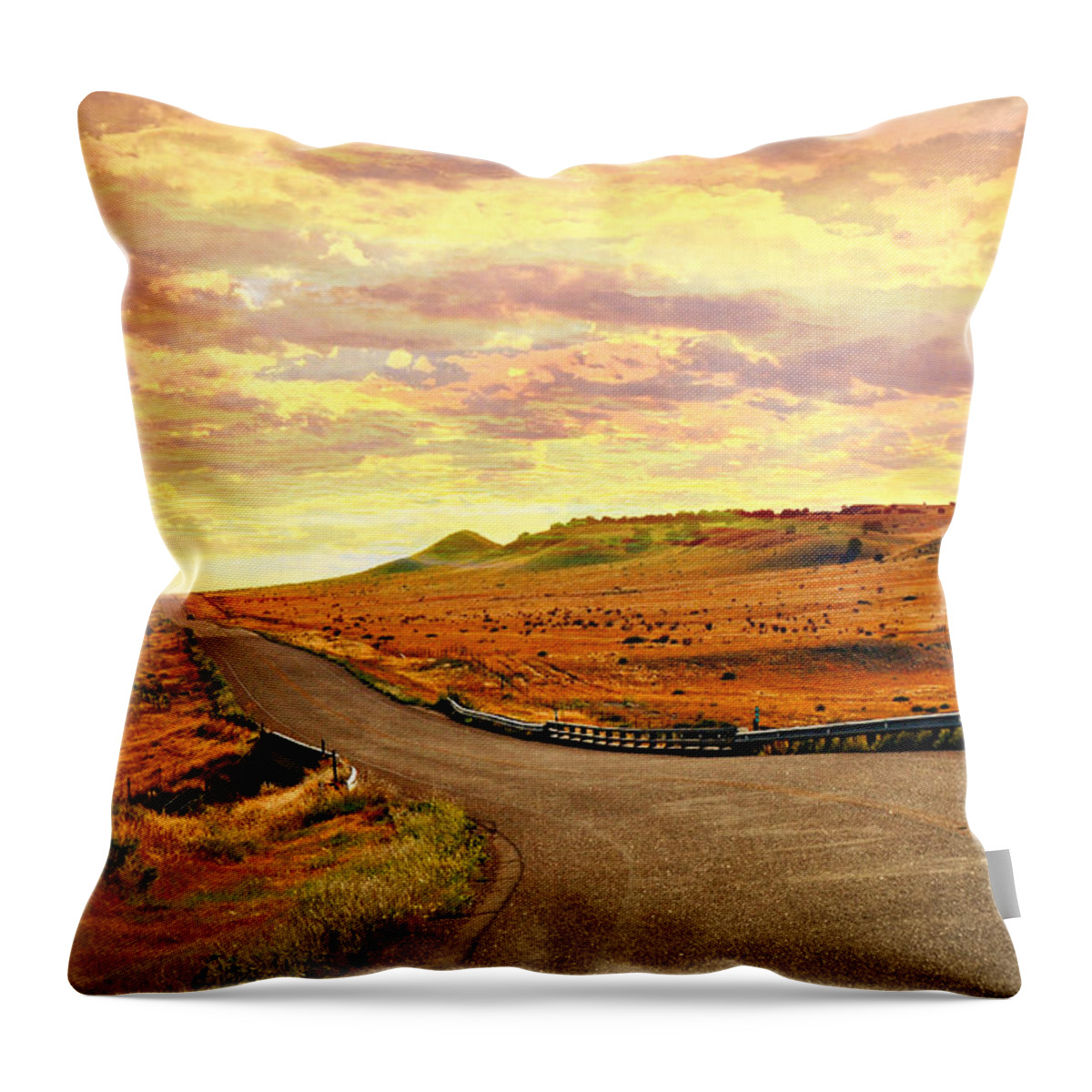 Sunset Throw Pillow featuring the photograph The Road Less Trraveled Sunset by Marty Koch