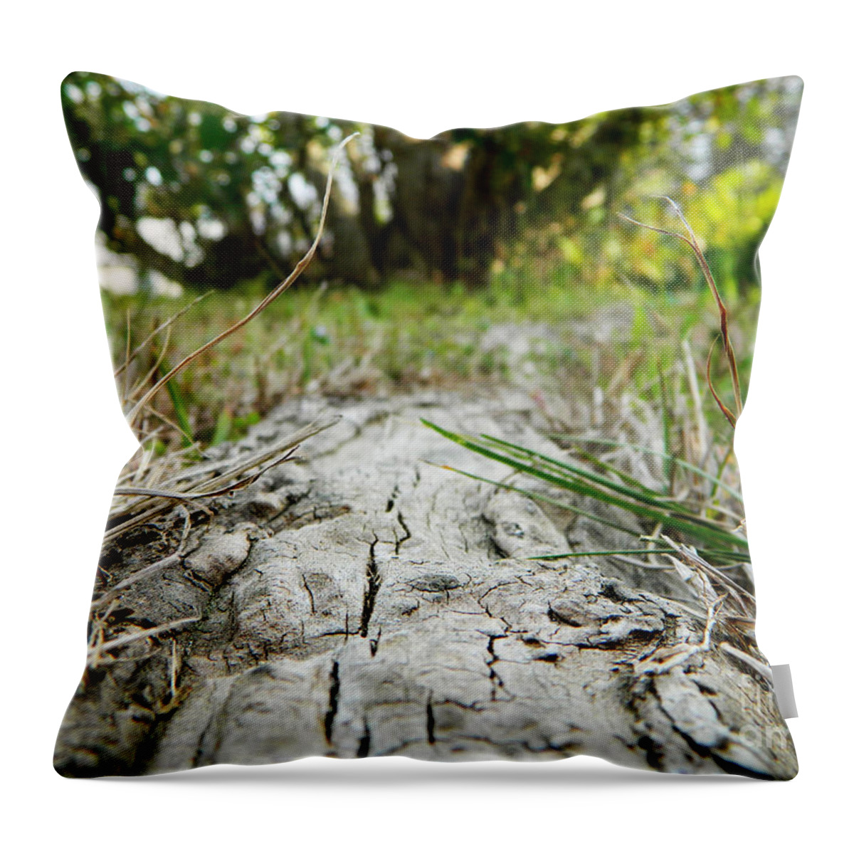 Root Throw Pillow featuring the photograph The root of happiness by Andrea Anderegg