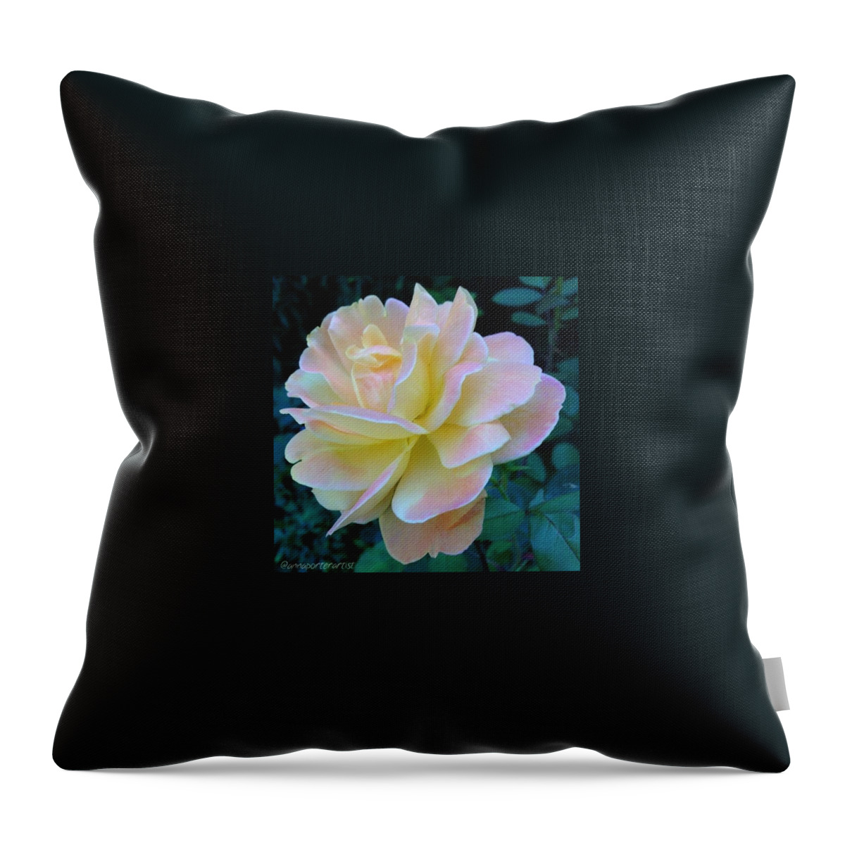 Glowing Throw Pillow featuring the photograph The Rose For A Rose Is A Rose Is A Rose by Anna Porter