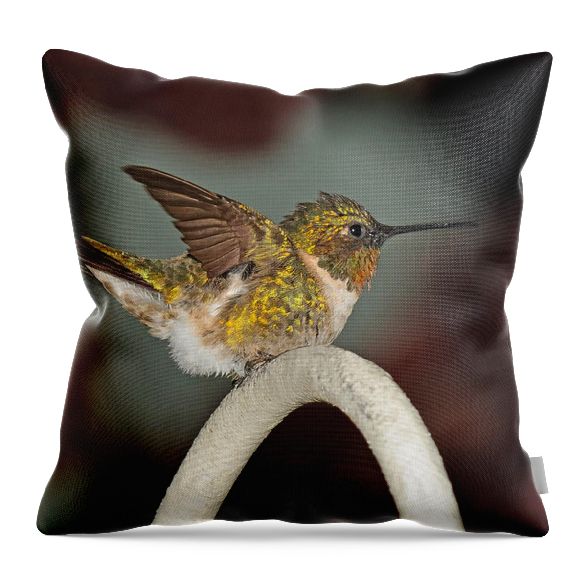 Hummingbird Throw Pillow featuring the photograph The Ruffled Hummer by Lara Ellis