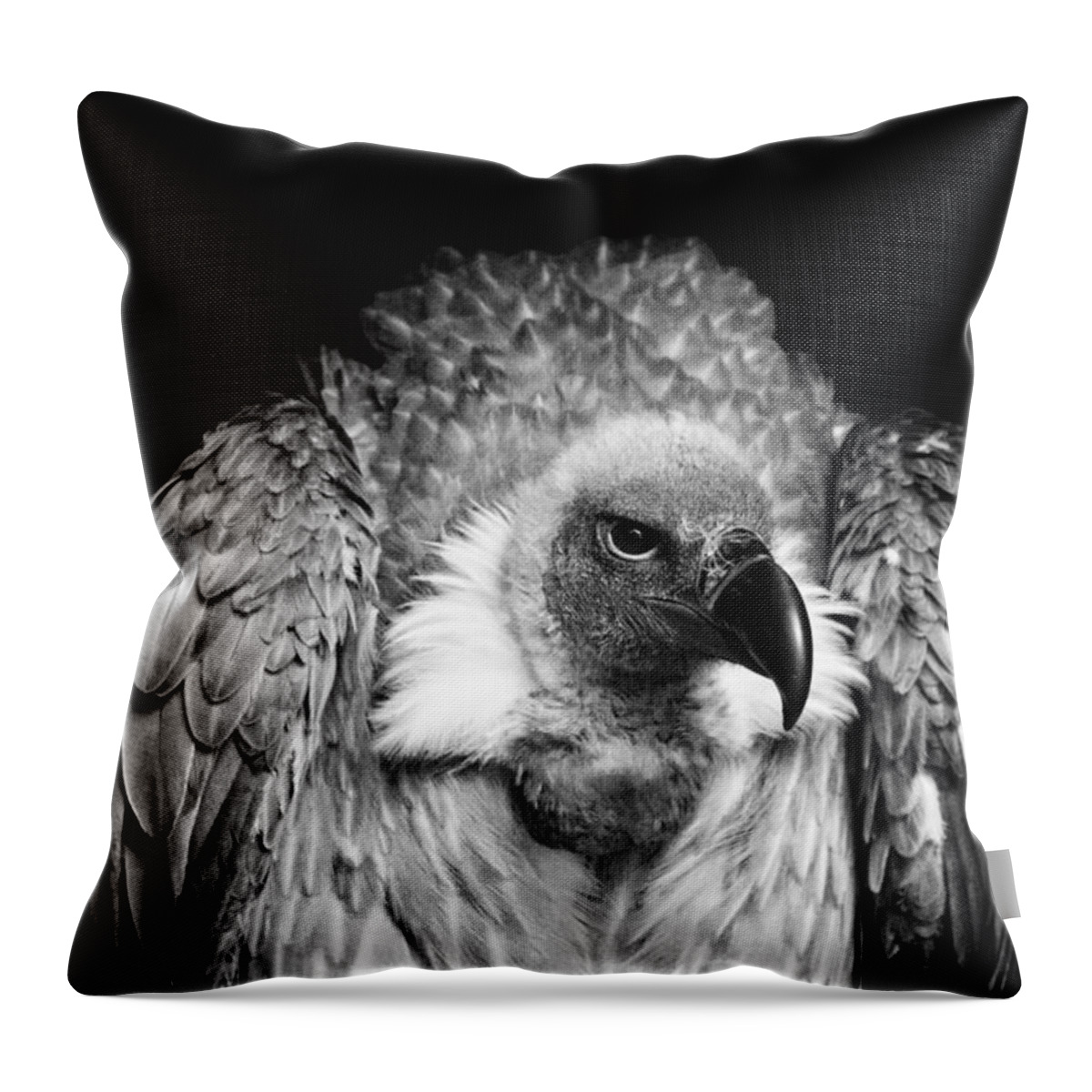 Vulture Throw Pillow featuring the photograph The Scavenger by Chris Whittle