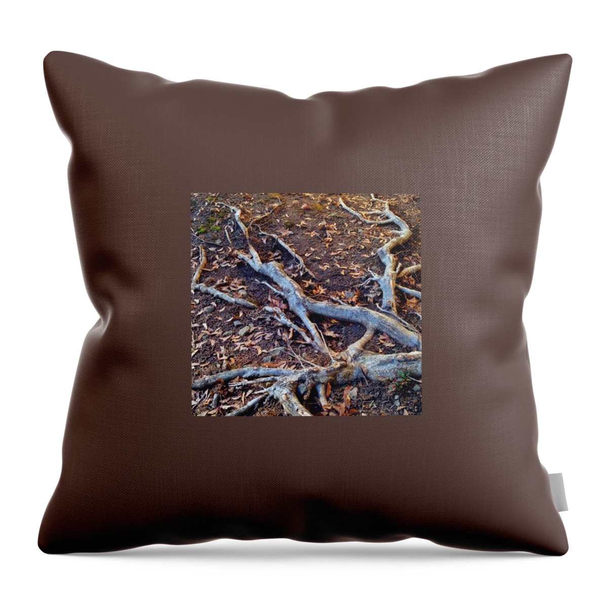 Tree Throw Pillow featuring the photograph The Search For Life On Earth by Anna Porter