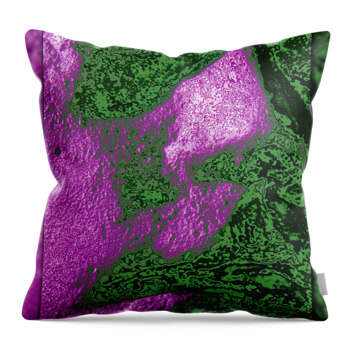 Abstract Throw Pillow featuring the digital art The Sentinel 13 by Tim Allen