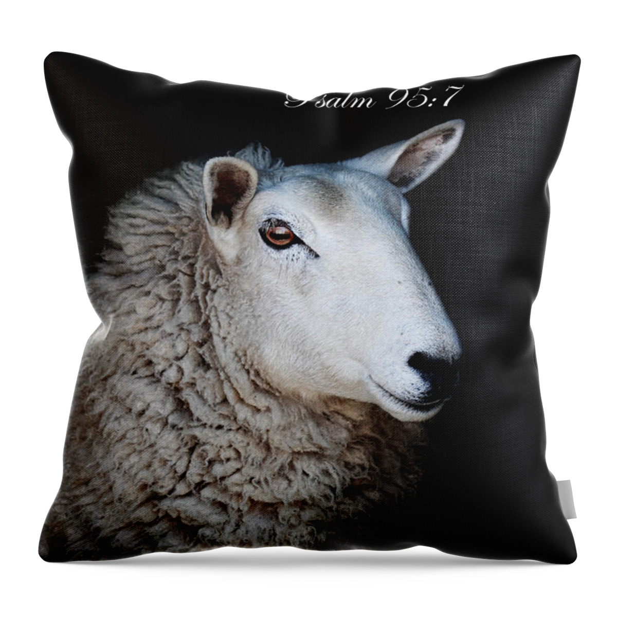 Profile Throw Pillow featuring the photograph The Sheep of His Hand by Stephanie Frey