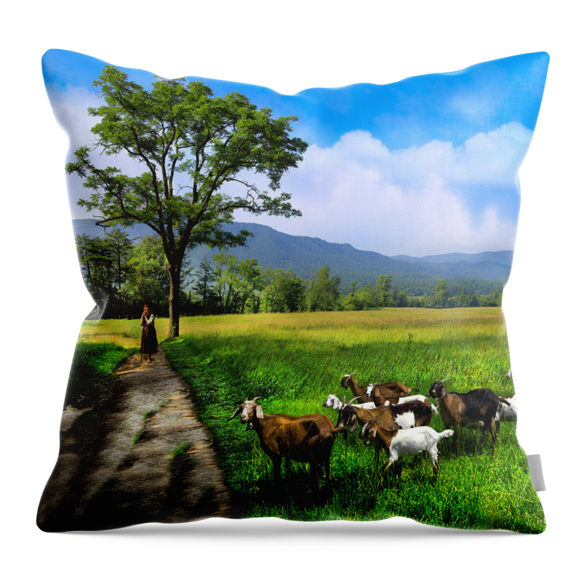 Cades Throw Pillow featuring the photograph The Shepherdess by Debra and Dave Vanderlaan