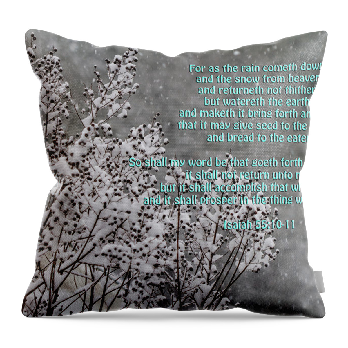 Snow Throw Pillow featuring the photograph The Snow From Heaven - Isaiah 55 by Kathy Clark