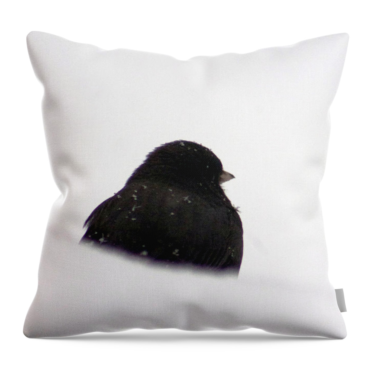 Bird Throw Pillow featuring the photograph The snow Thinker by Lily K