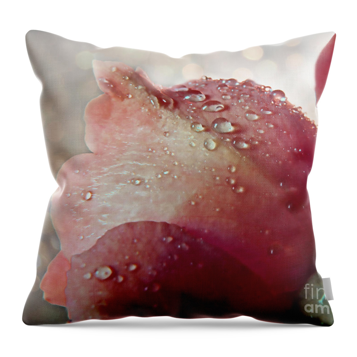  Nature Throw Pillow featuring the photograph The soft kiss of dew II by Debbie Portwood