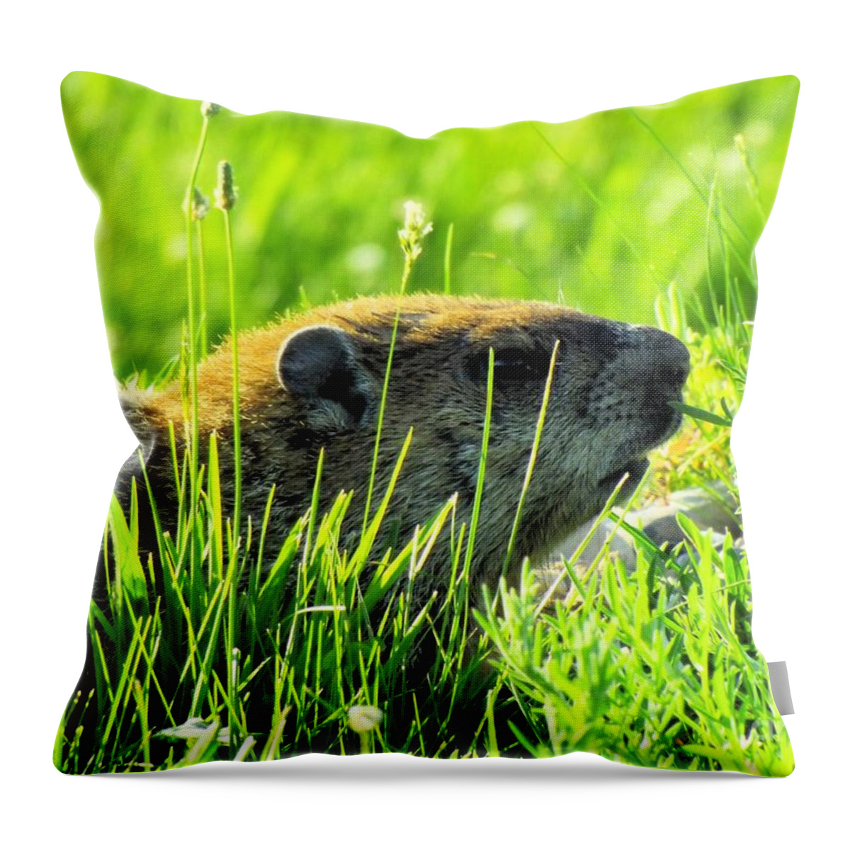 Groundhog Throw Pillow featuring the photograph The Sound Of Silence by Robyn King