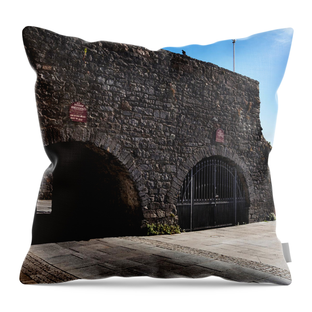 Photography Throw Pillow featuring the photograph The Spanish Arch, Galway City, Ireland by Panoramic Images