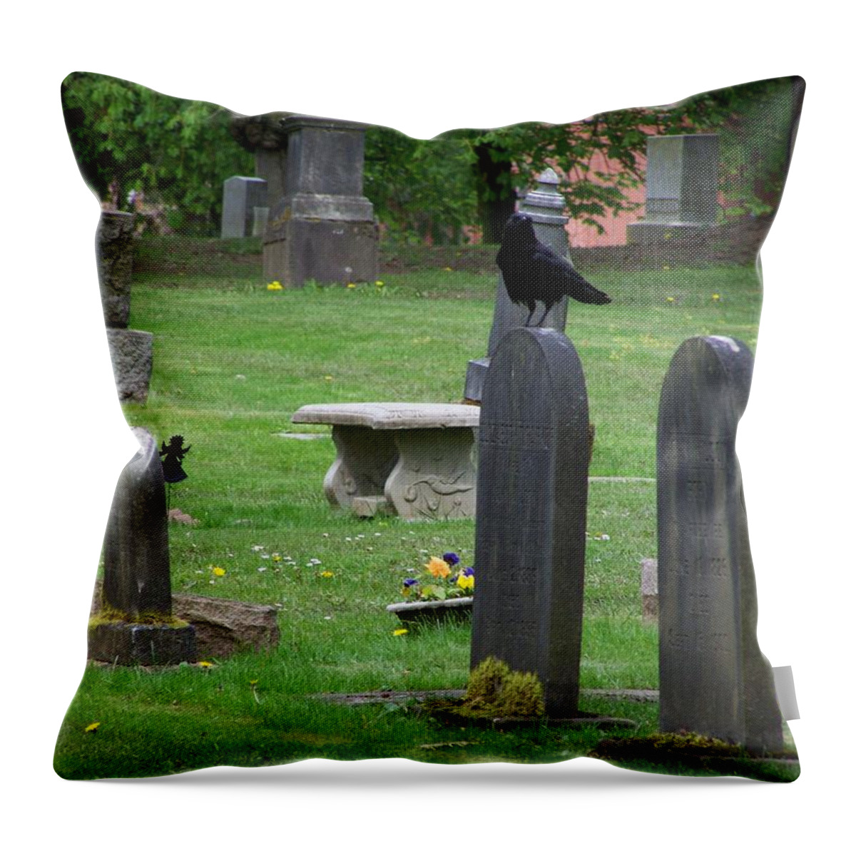 Graves Throw Pillow featuring the photograph The Spectators by Heather L Wright