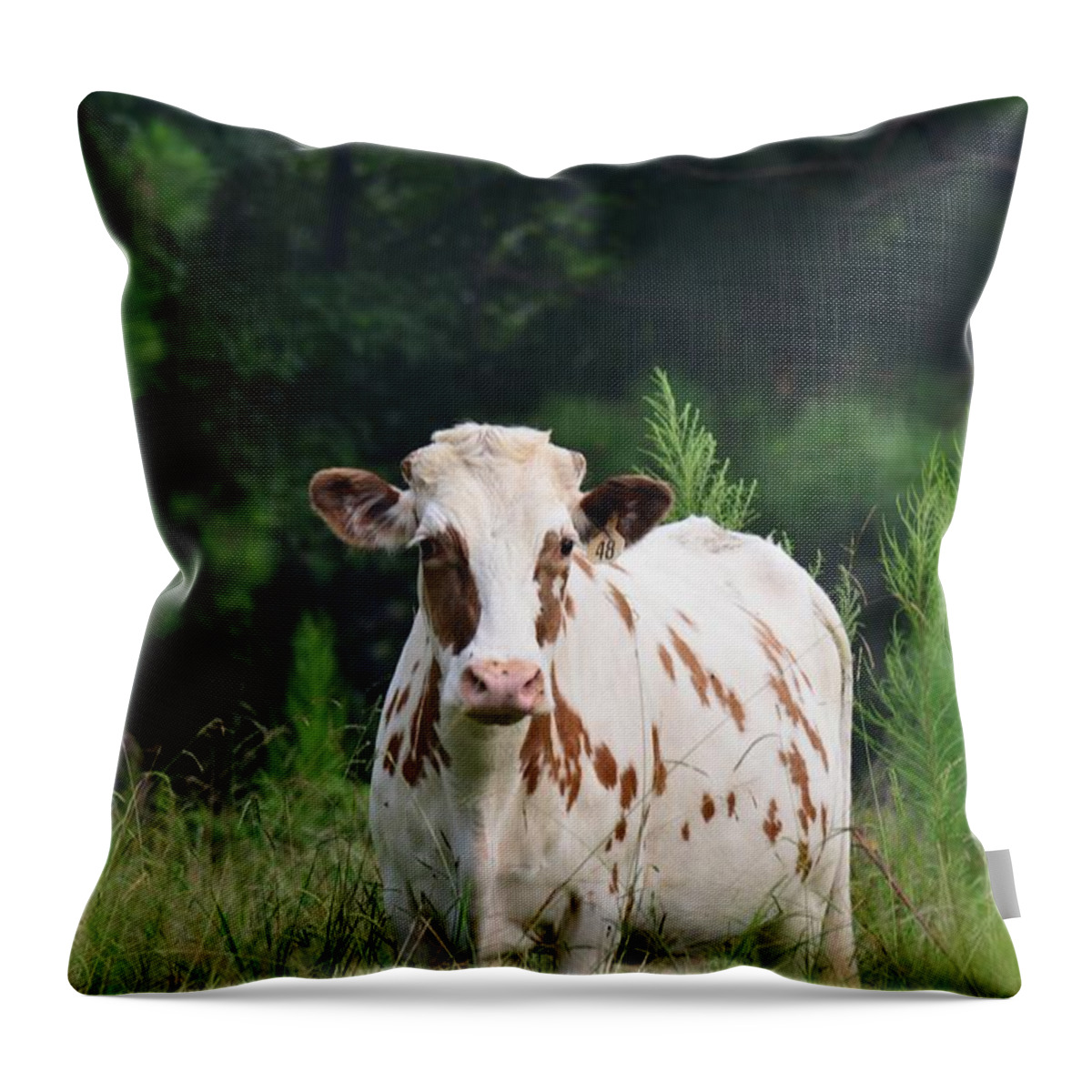 The Spotted Cow Throw Pillow featuring the photograph The Spotted Cow by Maria Urso