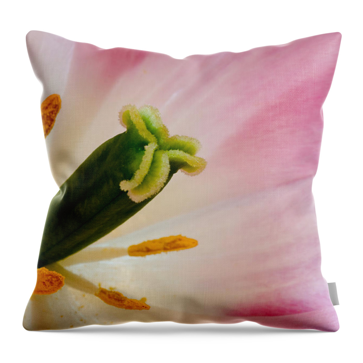 Tulip Throw Pillow featuring the photograph The Stamen by Georgette Grossman