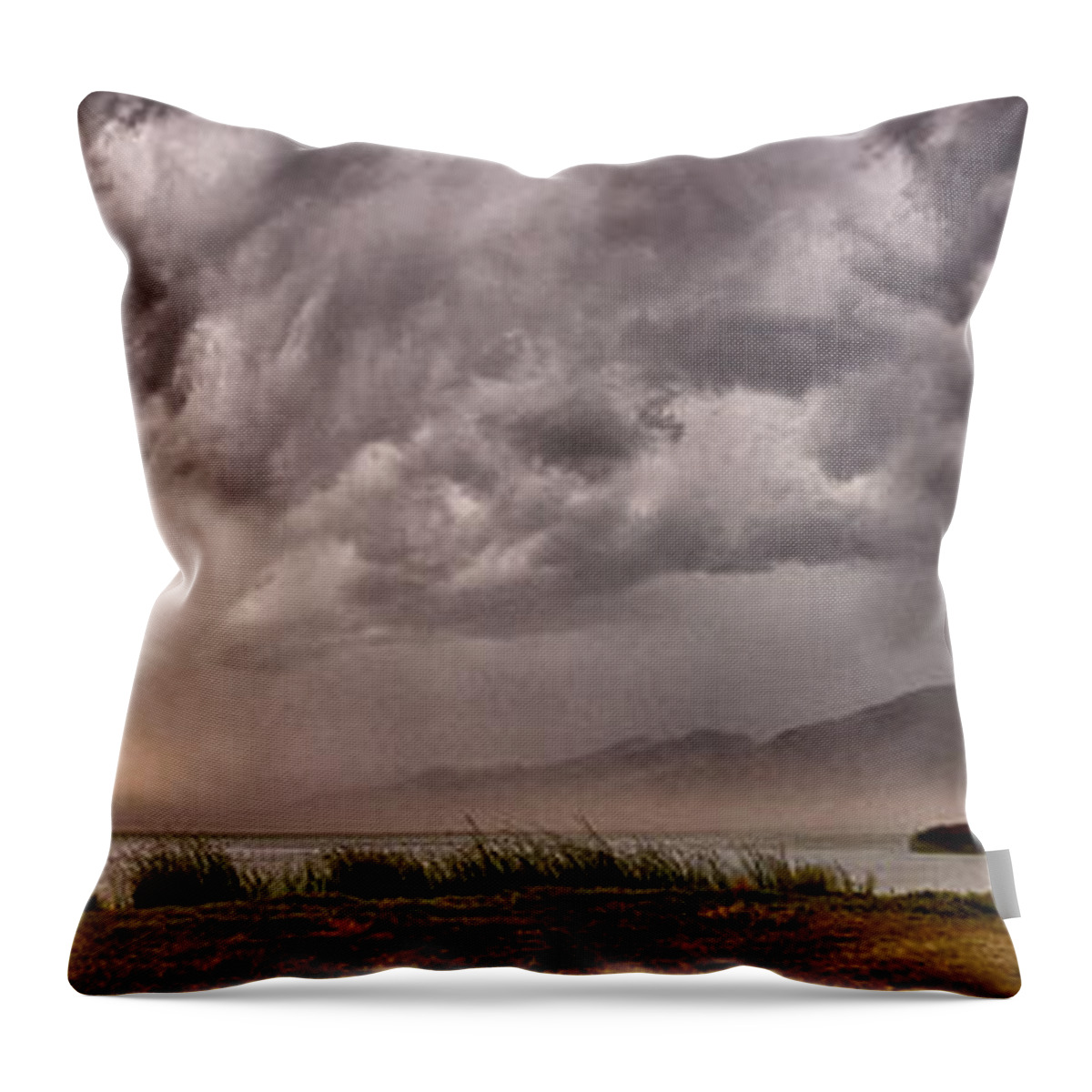 Weather Throw Pillow featuring the photograph The Storm by Cat Connor